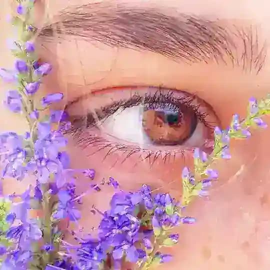 LavenderPan-7-လာဗန်ဒါပန်💜 Profile