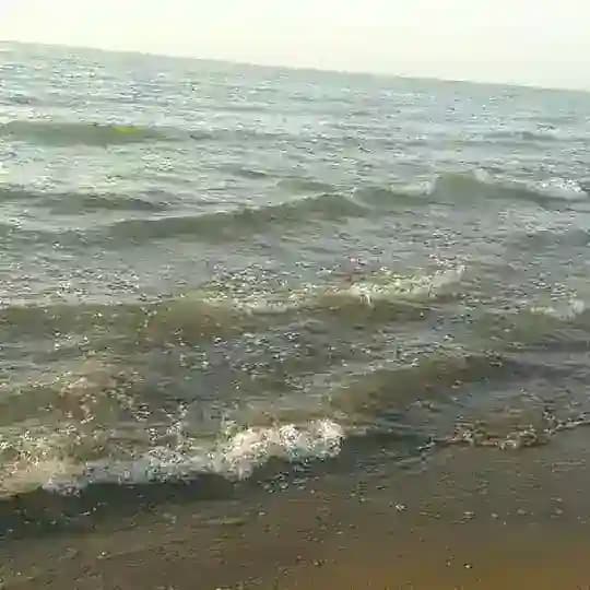 چنل حقوقی ( ساحل علم)