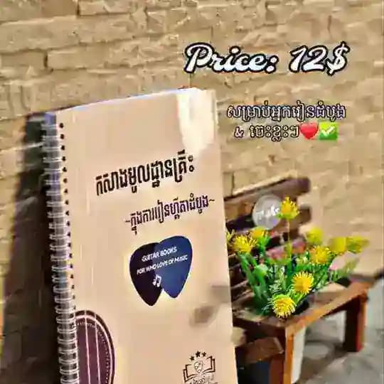 Guitar consultant book