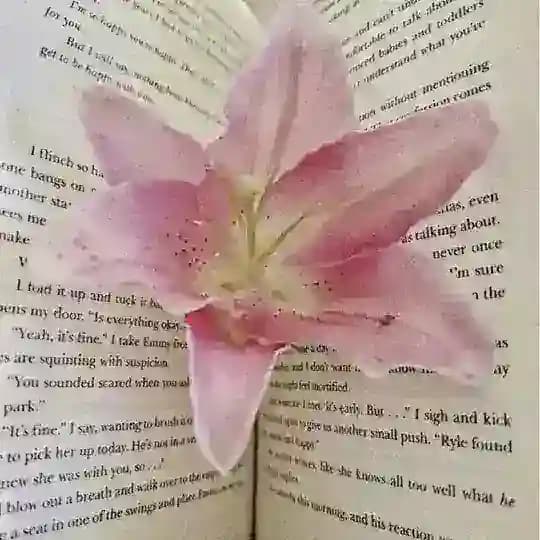 ㅤ 📎♥️. Poetry—moment's: @MoanaH. (12/04) .. ♡