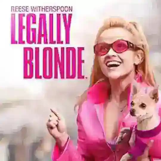 legally blonde فيلم Profile