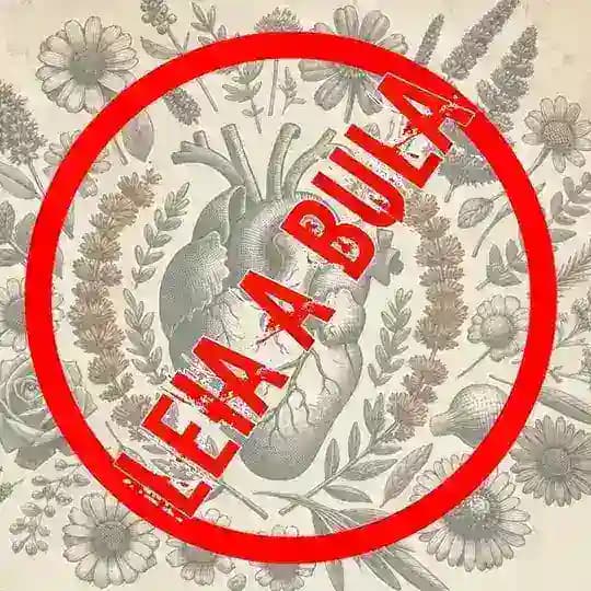 LEIA A BULA 🫀 Profile