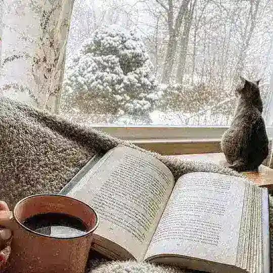 Leili's Books