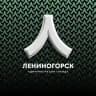 Лениногорский муниципальный район