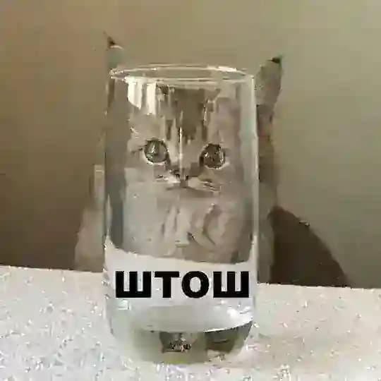 Моменты Лео | попутного пламени