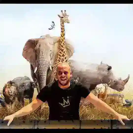 Le roi de la jungle 57 Profile