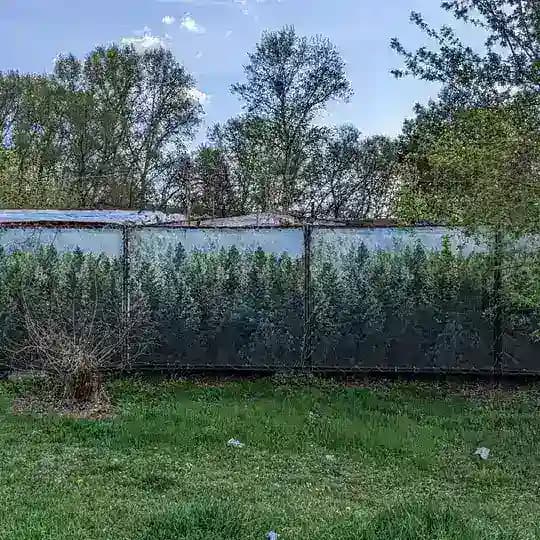 less is a bore \ лес и забор 🌳🚧
