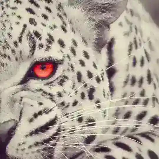 Less Summer Update Info Perpajakan