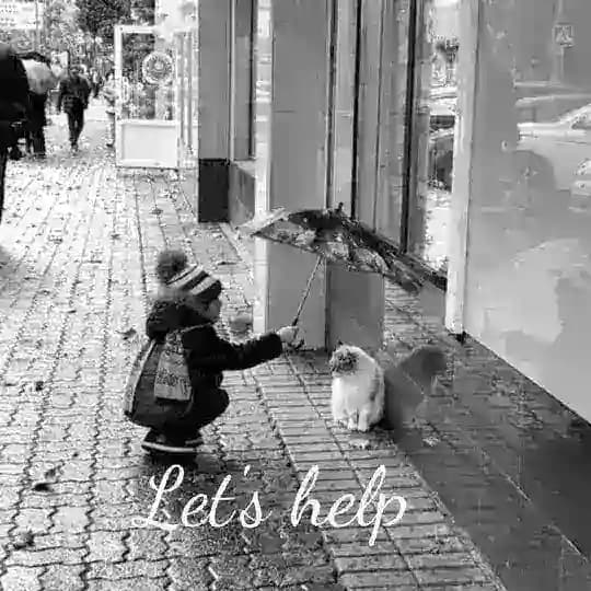 help