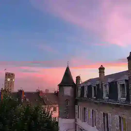 leurreicy.