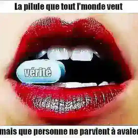 L’éveil 2022