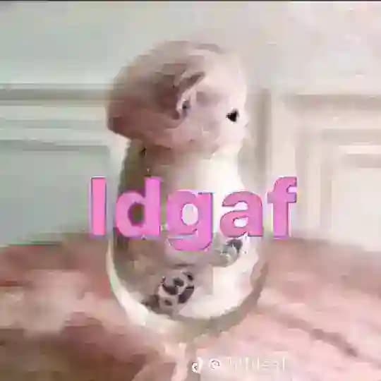 лям на медвежке