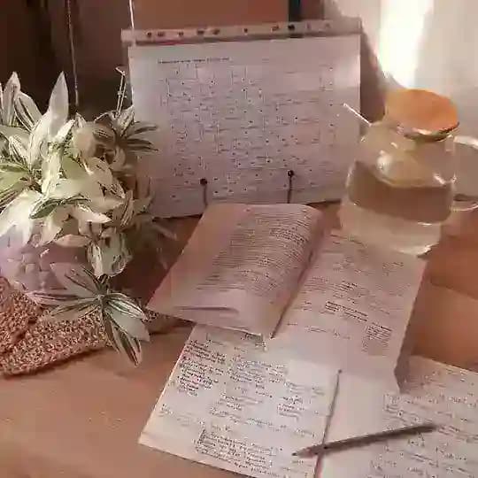 Учимся вместе