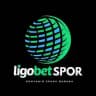LIGO SPOR