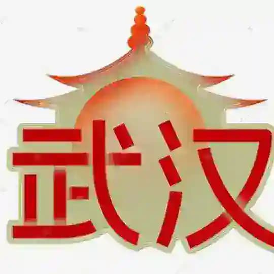 武汉丽宫好评榜
