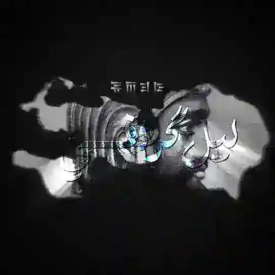 𝓁𝒾𝓁𝑔𝓇𝒶𝓅𝒽𝒾 | لیل گرافی