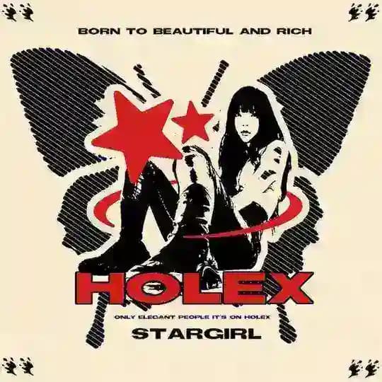 HOLEX THE BUDDIE
