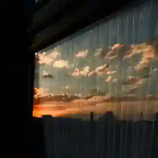 -جستجوگرِ نور”