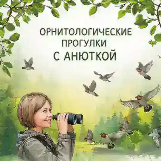 Улётный канал.