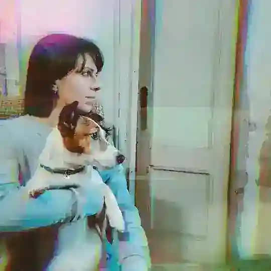 Пёс, писатель и заколоченная дверь