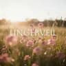 Lingerveil