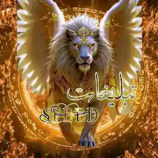 لینکدونی | linkdoni | لینکدونی تلگرام | کانال لینکدونی | لینکدونی گروه تلگرام