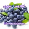 لینکدونی بلوبری🫐