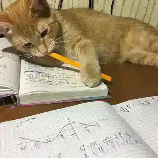 ADD MATH F4 WITH QAYYUM