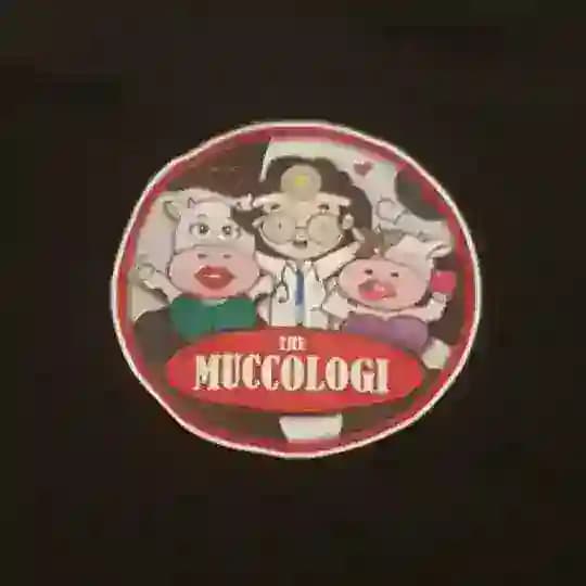 CELEBRITÀ (link dentro qua) Profile