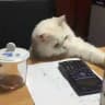 MATH F1 WITH QAYYUM
