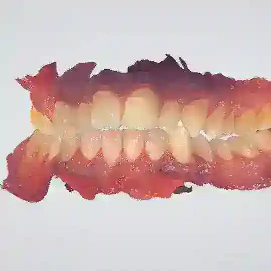 Best dental courses