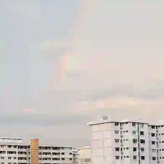 Lisa’s Adulting in Singapore