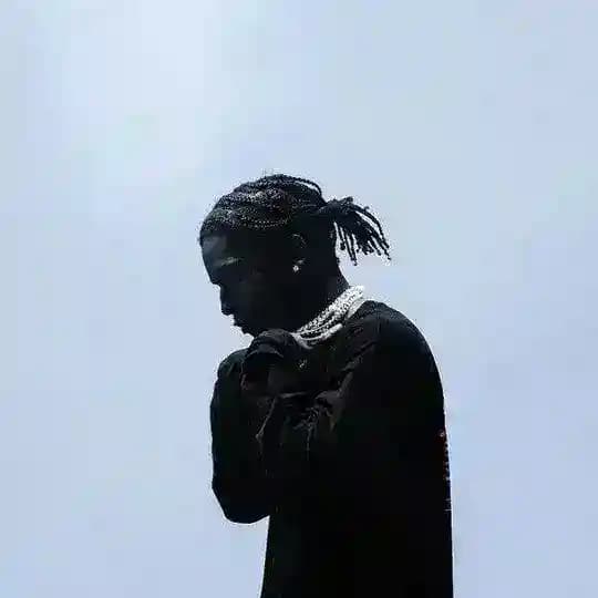 ャ