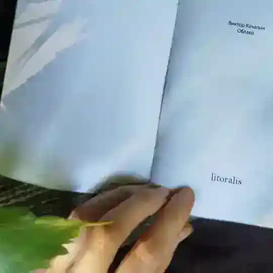 Litoralis