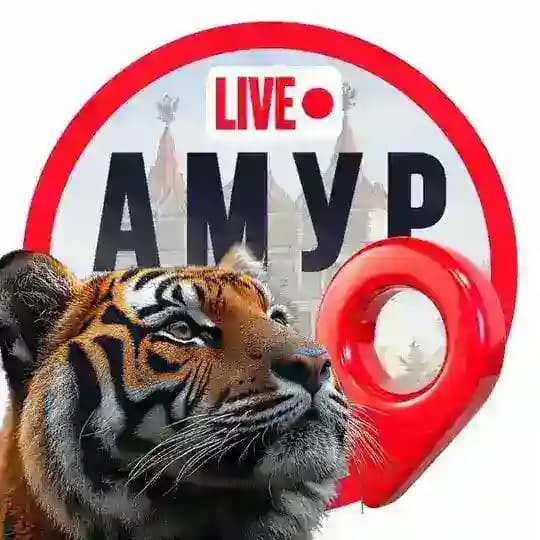 Амур LIVE