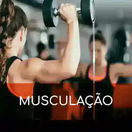 LMTR - Livros de Musculação/Treinamento Resistido