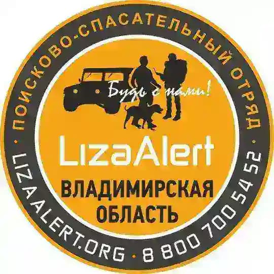 ДПСО "ЛизаАлерт" Владимирская область