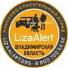 ДПСО "ЛизаАлерт" Владимирская область