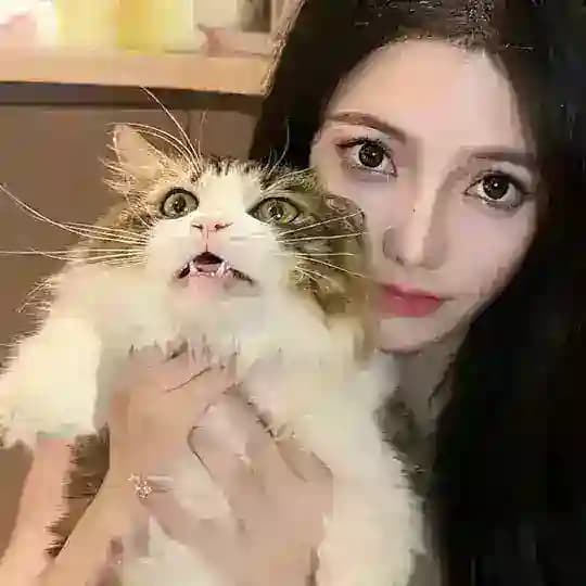中山火炬小雅上课啦