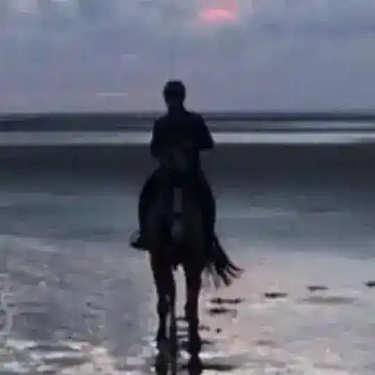 قناة كالر