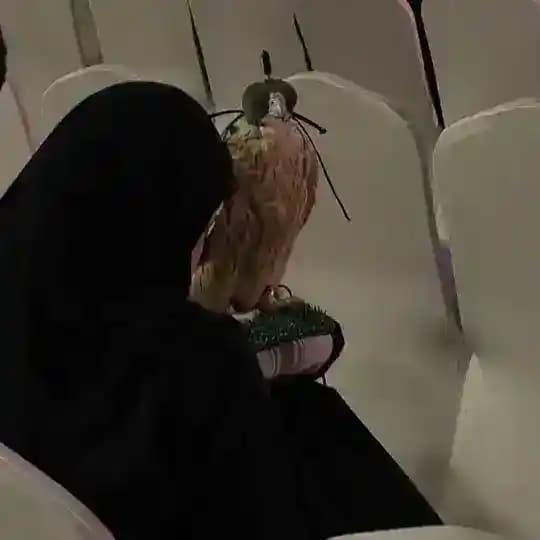 ذرى .