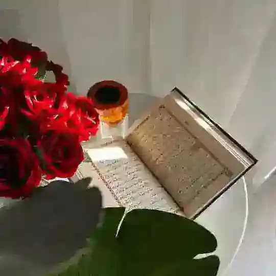 "معلومات من القرآن"