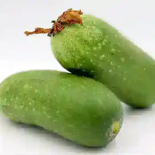 吃瓜频道