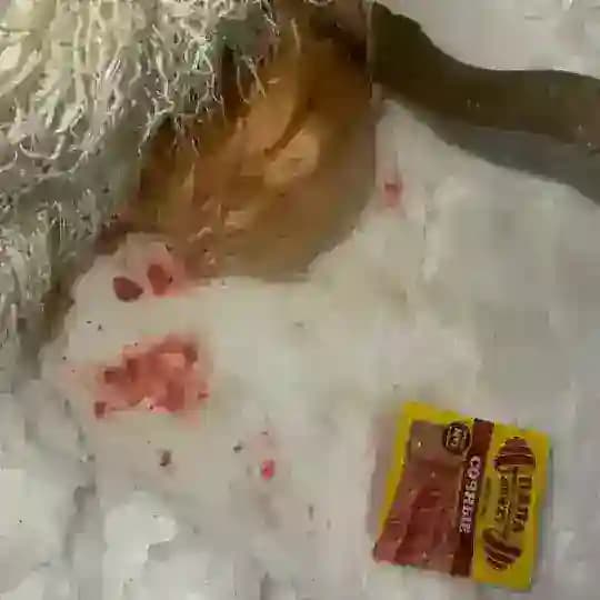 богатая жизнь с кралей