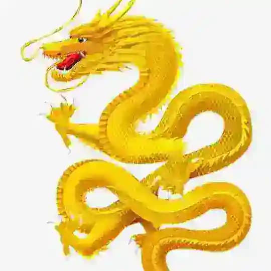 龙哥cvv全球供应链