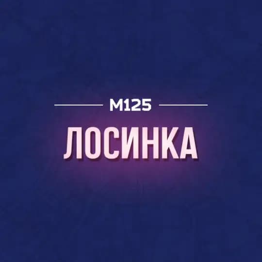 Лосиноостровский район М125
