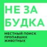 НЕЗАБУДКА: стена поиска пропавших животных в Савелках (3, 5, 6, 7 мкр.)