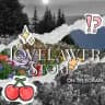 Lovelawer store || open