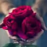 رسائل حب لزوجتي ❤️