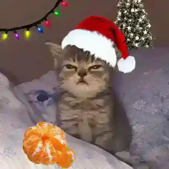 люблю